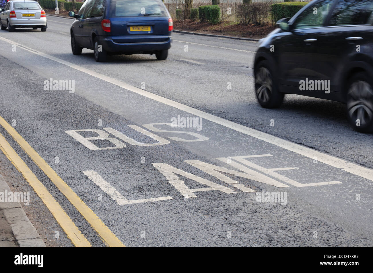 Fahrbahnmarkierungen für Busspur in Glasgow, Schottland, Großbritannien, Europa Stockfoto