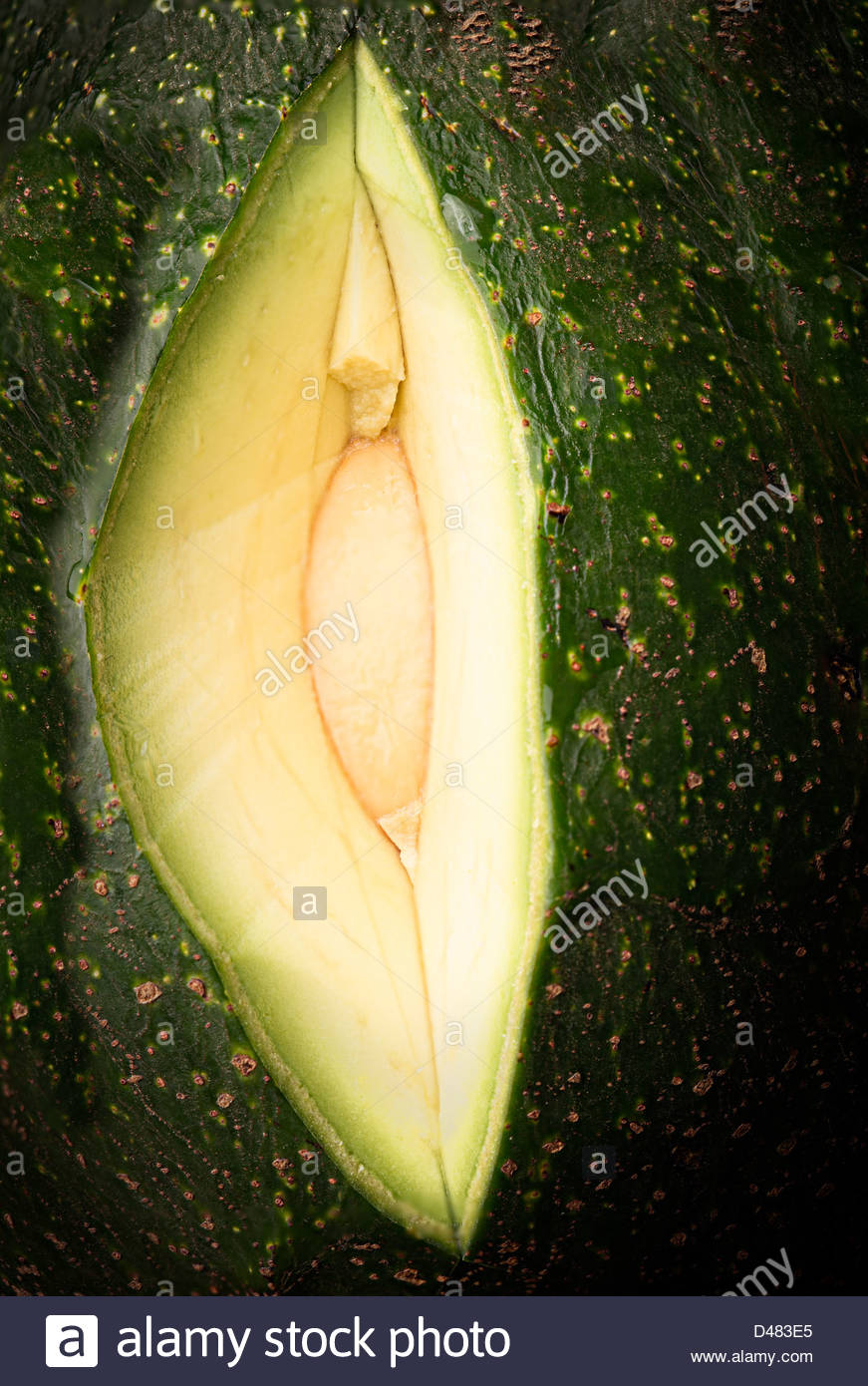 Nahaufnahme Bild der Vagina Schwarze Lesben hocken