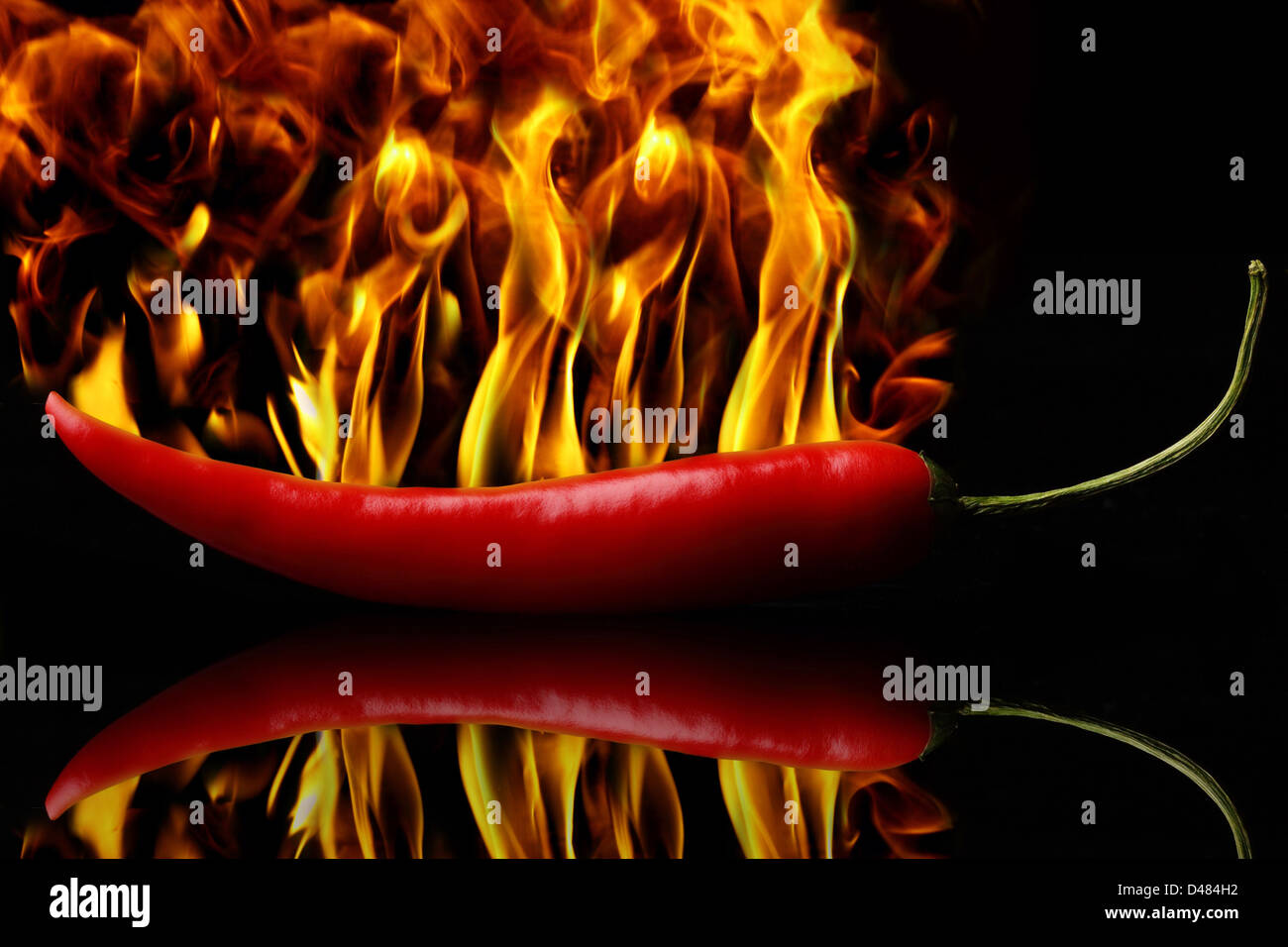 Eine heiße rote Peperoni in Flammen. Stockfoto