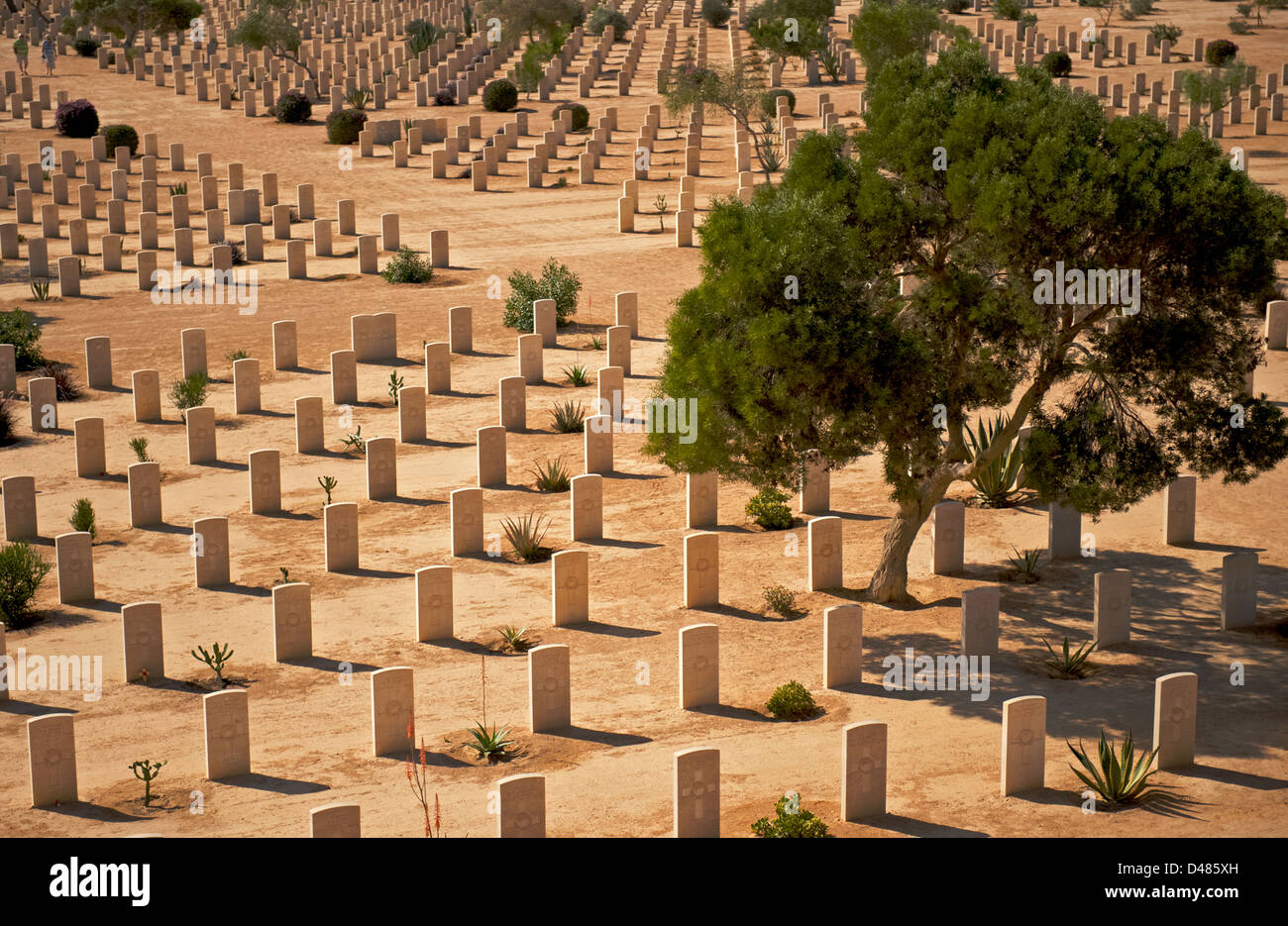 Kriegsgräber in der Sahara Wüste auf dem Commonwealth Friedhof in El Alamein, Ägypten Stockfoto