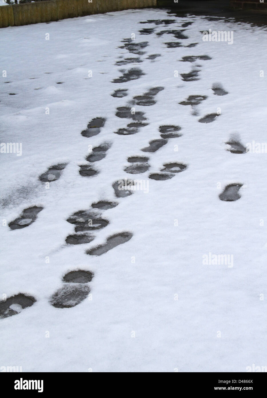Spuren im Schnee. Stockfoto