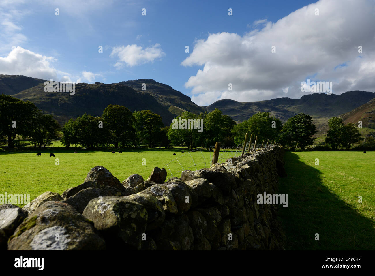 Oxendale und Crinkle Crags, Great Langdale Tal, The Lake District, Cumbria, England, 36MPX, HI-RES Stockfoto