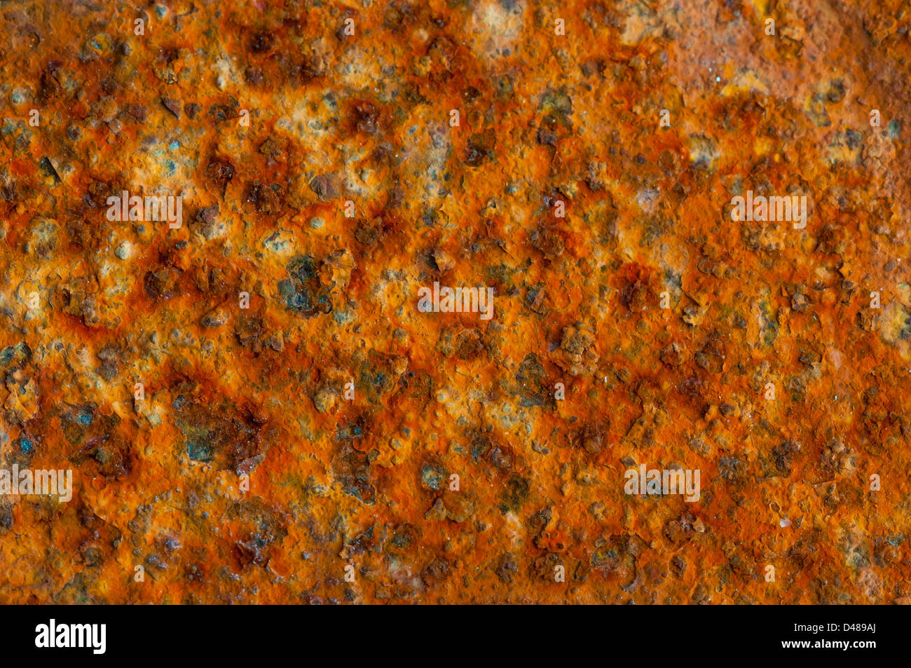 Gesprenkelte musterung -Fotos und -Bildmaterial in hoher Auflösung – Alamy
