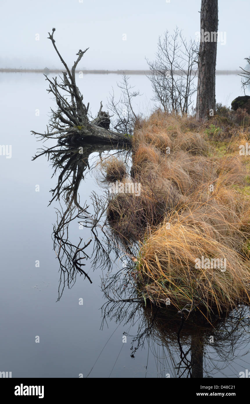 Loch Mallachie - Cairngorms-Nationalpark Stockfoto