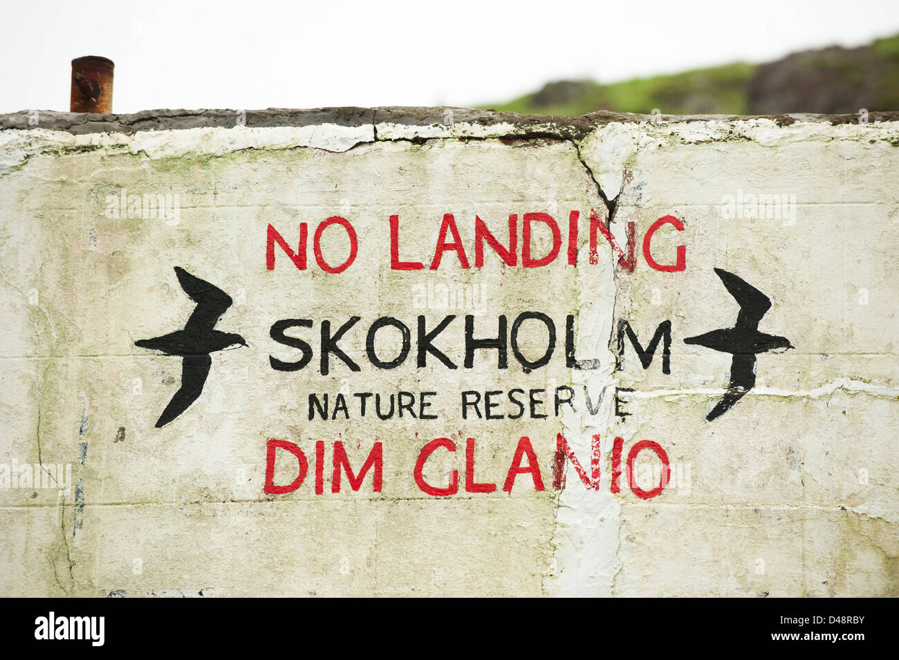 Keine Landung Schild am North Haven, Skokholm Island, South Pembrokeshire, Wales, Vereinigtes Königreich Stockfoto