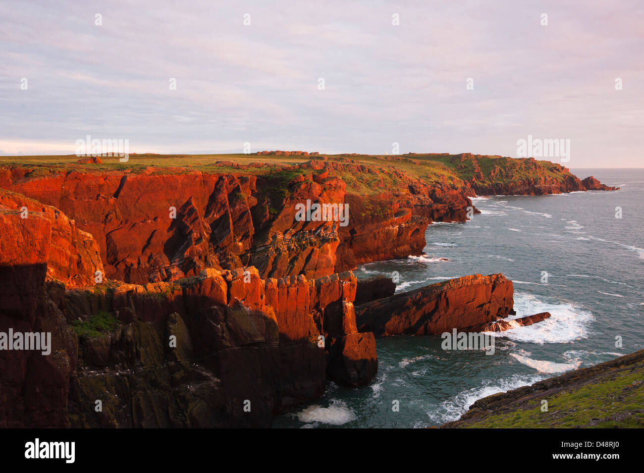 Goldenes Licht aus den Sonnenuntergang auf die roten Sandsteinfelsen von Skokholm Island, South Pembrokeshire, Wales, Vereinigtes Königreich Stockfoto