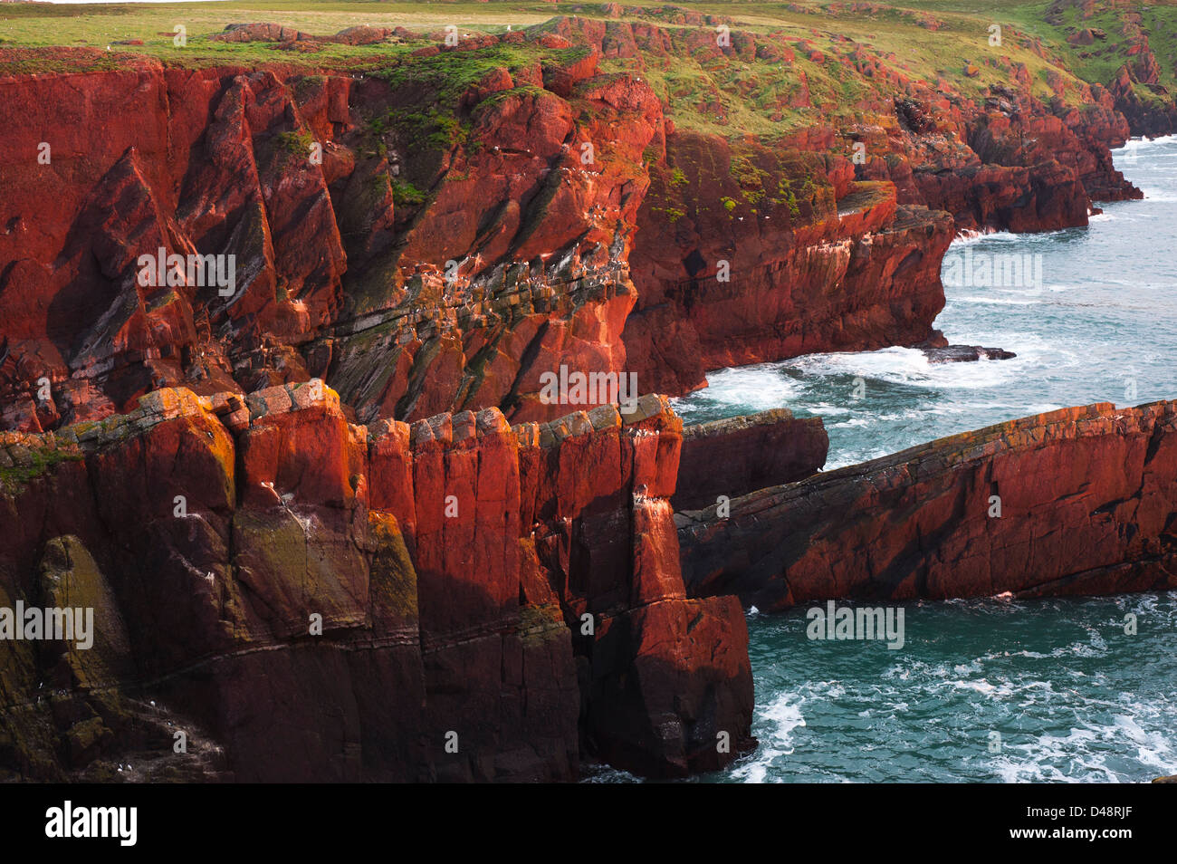 Goldenes Licht aus den Sonnenuntergang auf die roten Sandsteinfelsen von Skokholm Island, South Pembrokeshire, Wales, Vereinigtes Königreich Stockfoto