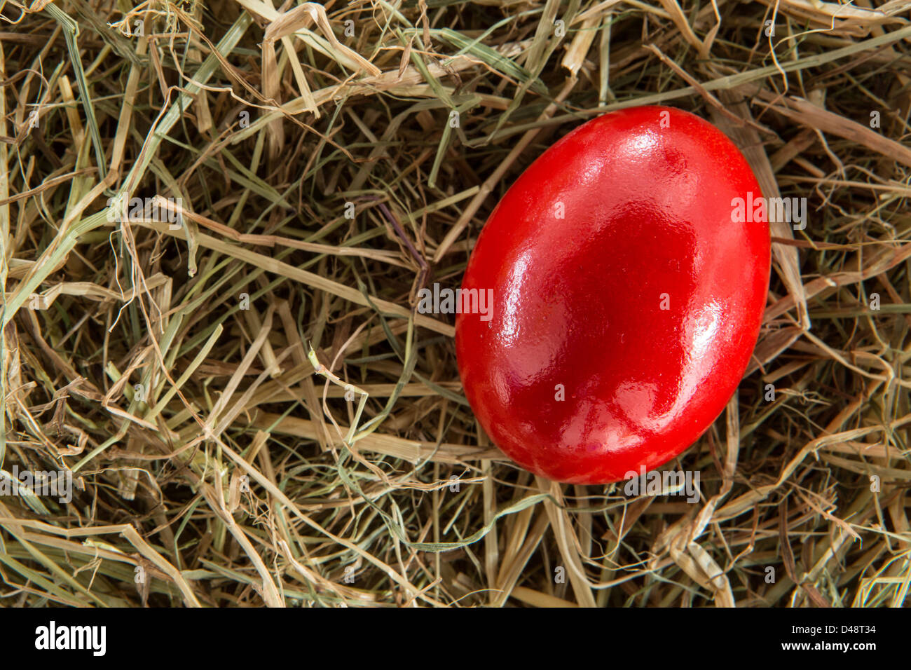 Rotes Ei auf Stroh Stockfoto