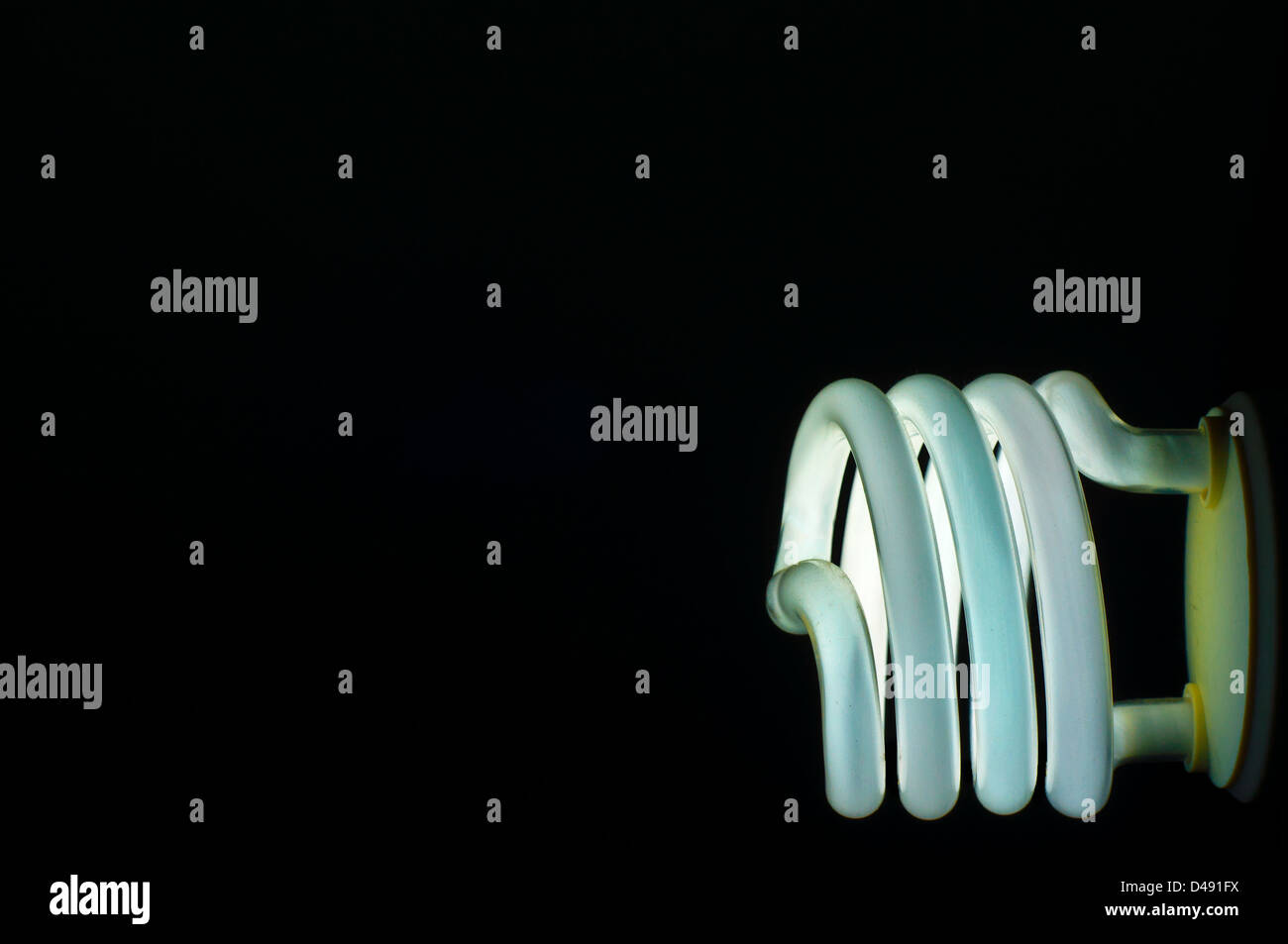 Eine beleuchtete Glühbirne gegen einen schwarzen Hintergrund. Stockfoto