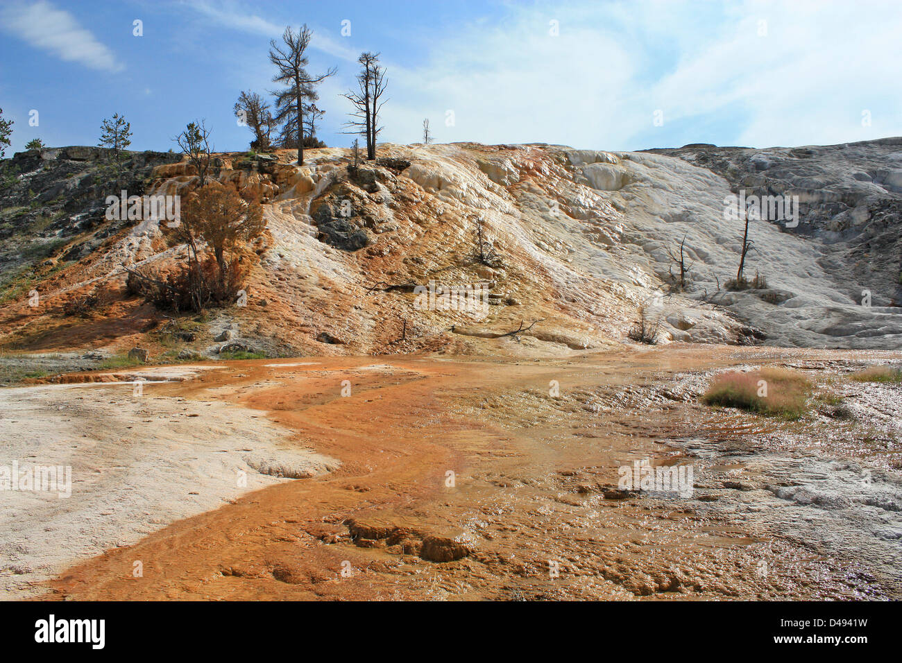Yellowstone-Nationalpark, Mammoth hot Spring, Park County, Wyoming, Vereinigte Staaten von Amerika, Stockfoto