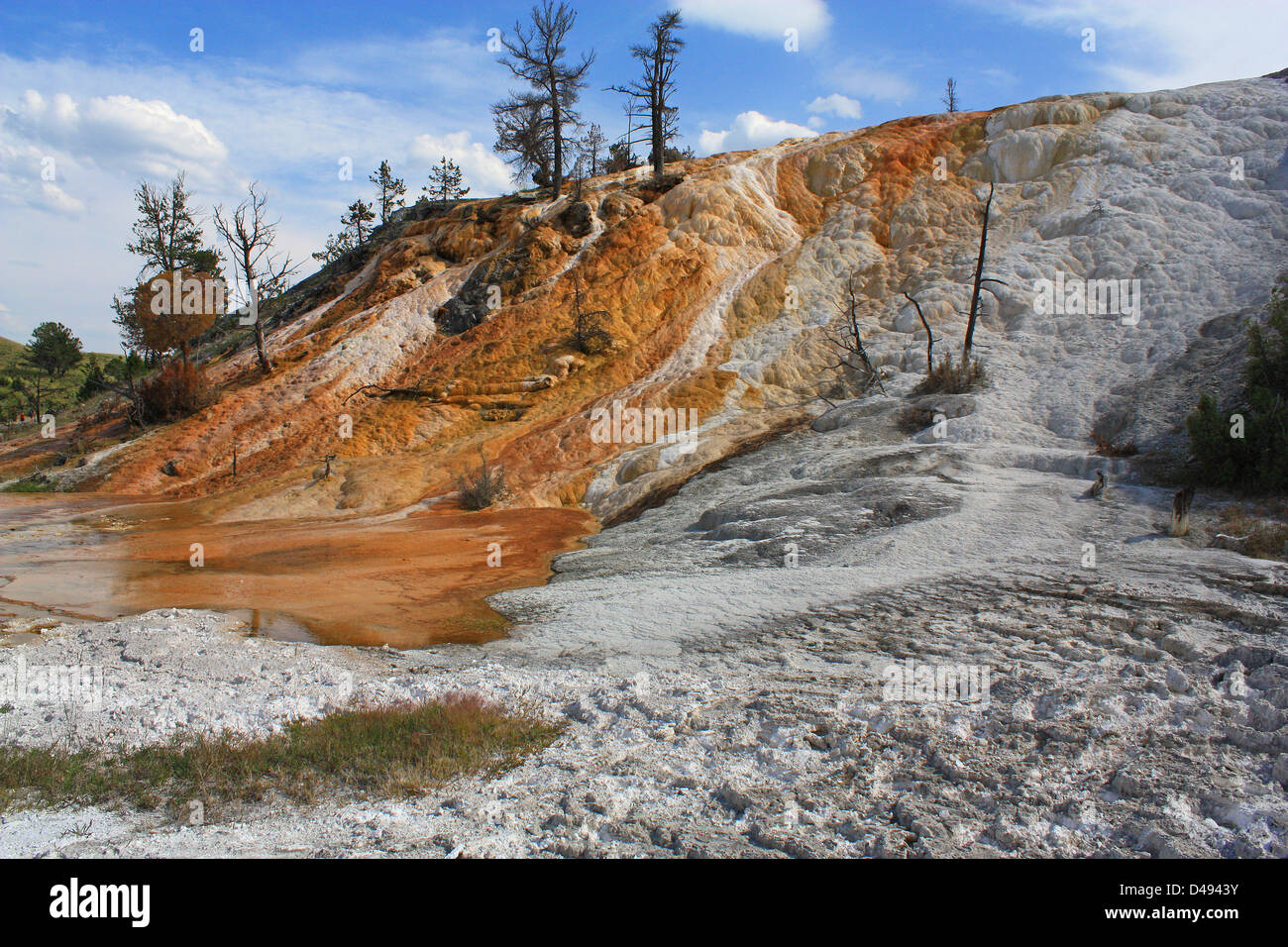 Yellowstone-Nationalpark, Mammoth hot Spring, Park County, Wyoming, Vereinigte Staaten von Amerika, Stockfoto