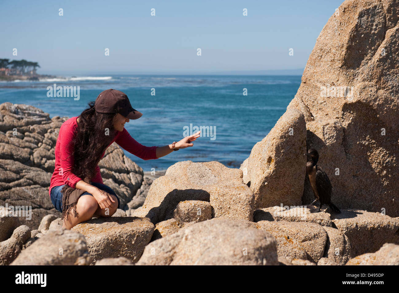 Monterey, USA, Frau mit einem Vogel auf Lovers Point auf der Monterey Bay Stockfoto