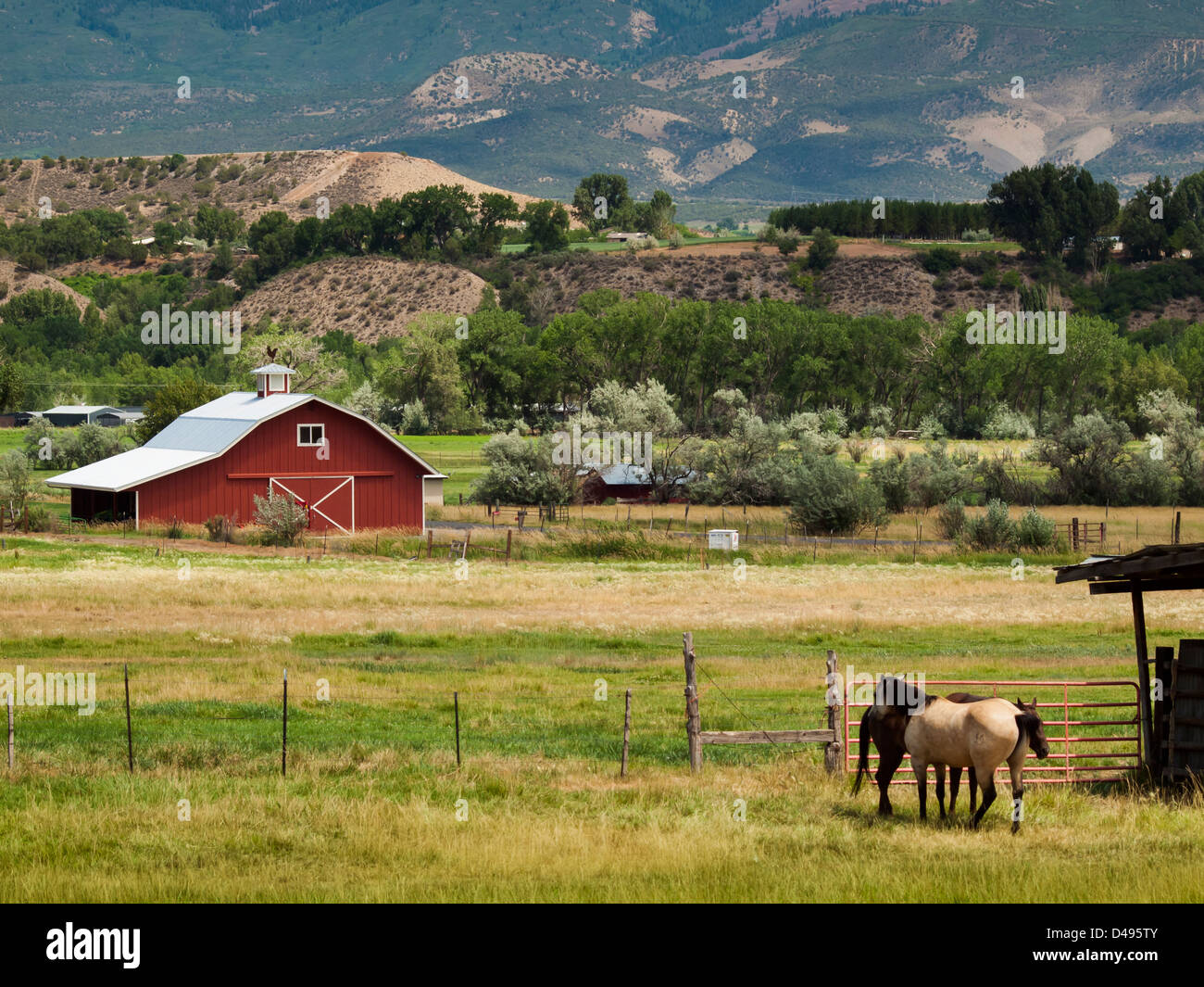 Rote Scheune auf dem Bauernhof in Grand Junction, Colorado. Stockfoto