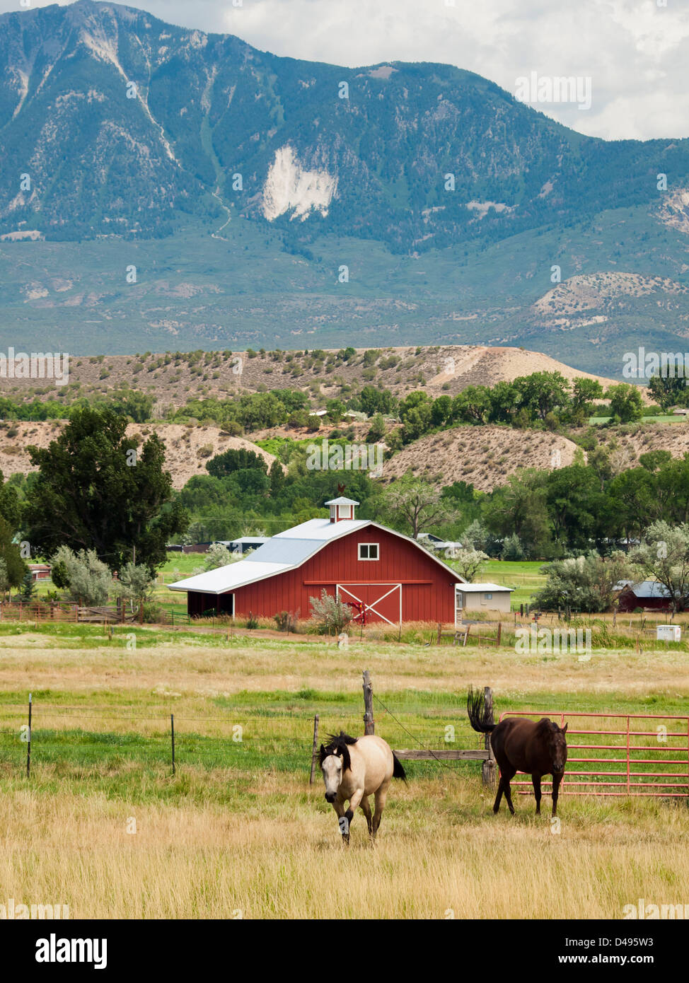 Rote Scheune auf dem Bauernhof in Grand Junction, Colorado. Stockfoto