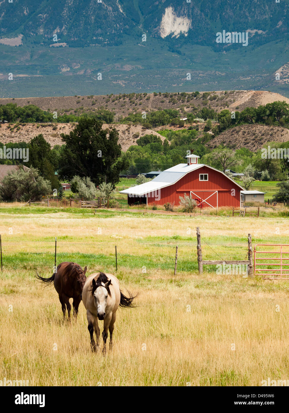 Rote Scheune auf dem Bauernhof in Grand Junction, Colorado. Stockfoto