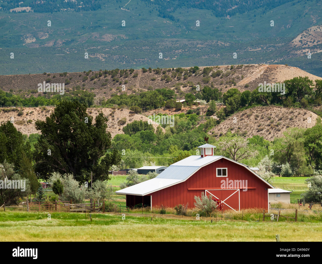 Rote Scheune auf dem Bauernhof in Grand Junction, Colorado. Stockfoto