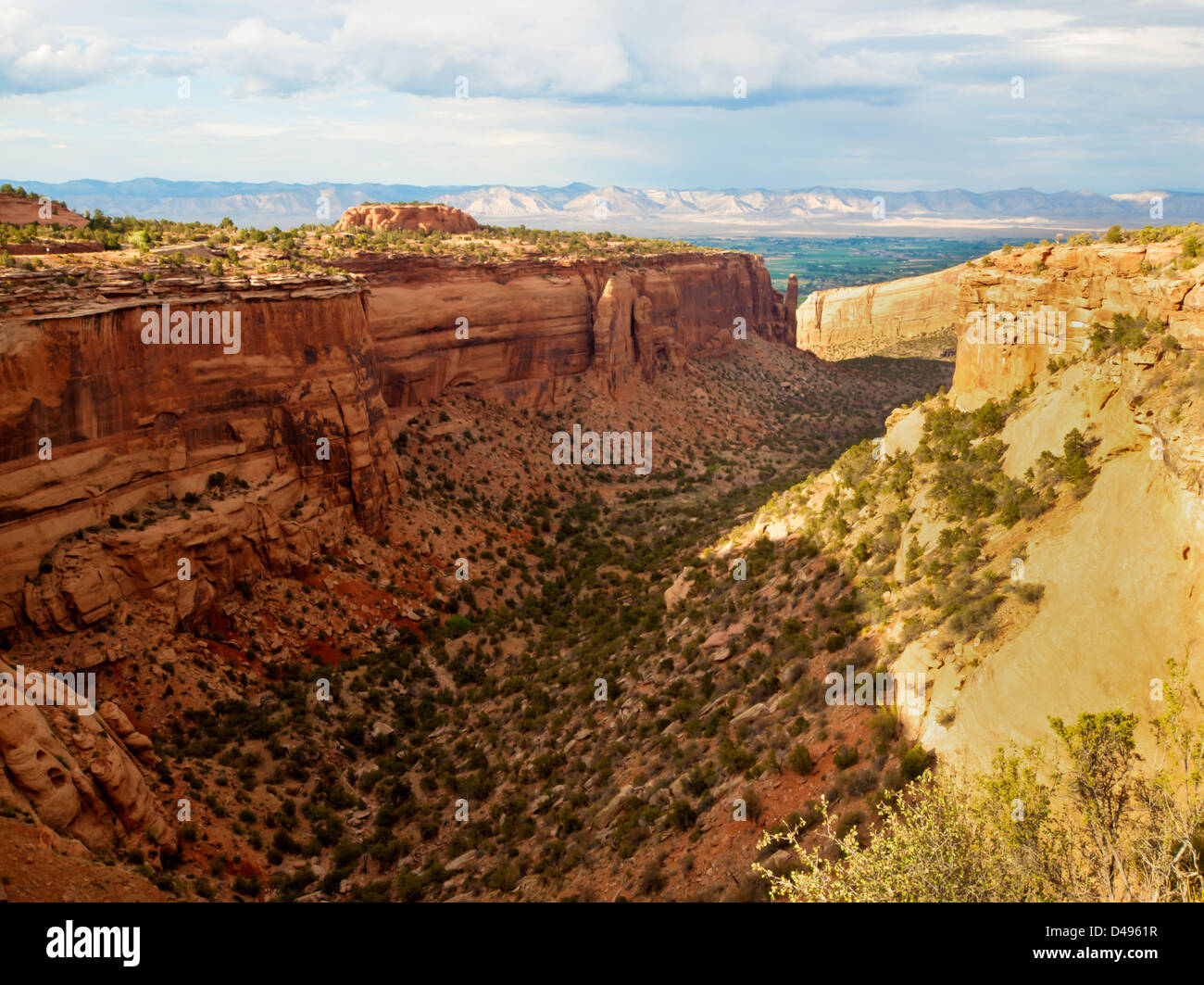 Colorado National Monument ist ein Teil des National Park Service in der Nähe der Stadt Grand Junction, Colorado. Spektakuläre Schluchten tief in Sandstein und Granit Gneis - Schiefer Felsformationen, in einigen Bereichen. Stockfoto