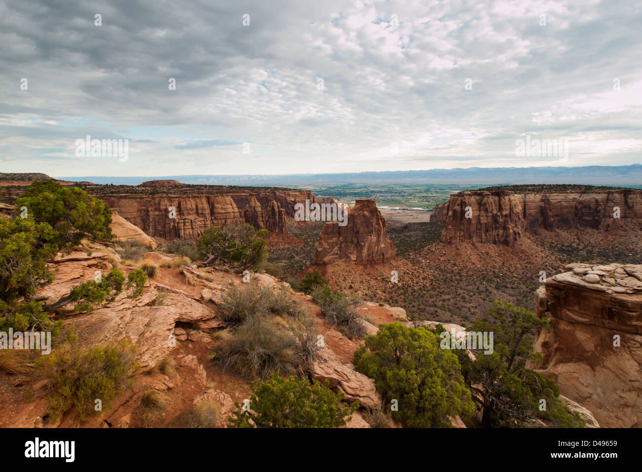 Colorado National Monument ist ein Teil des National Park Service in der Nähe der Stadt Grand Junction, Colorado. Spektakuläre Schluchten tief in Sandstein und Granit Gneis - Schiefer Felsformationen, in einigen Bereichen. Stockfoto