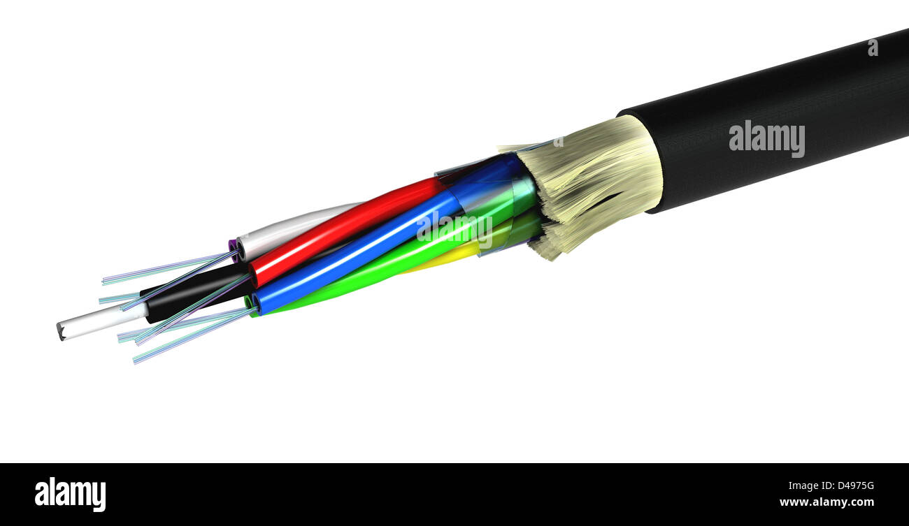 Abisolierten LWL-Kabel isoliert auf weißem Hintergrund Stockfoto