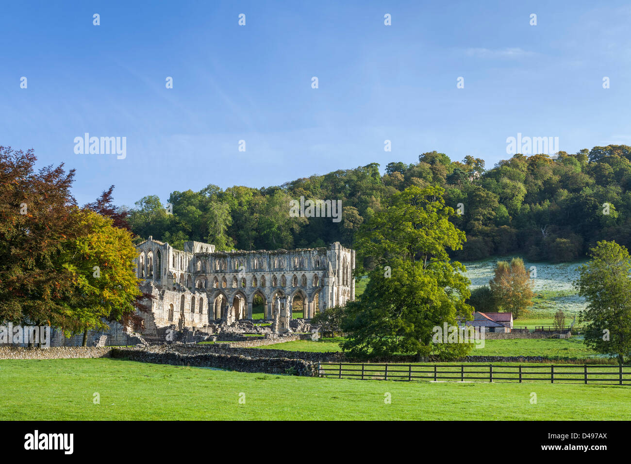 Rievaulx Abbey im Herbst in der Nähe von Helmsley in North Yorkshire. Stockfoto