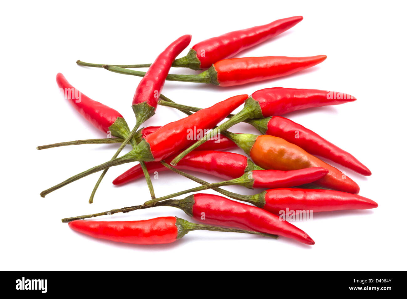 Frische rote Chili Closeup auf weißem Hintergrund Stockfoto