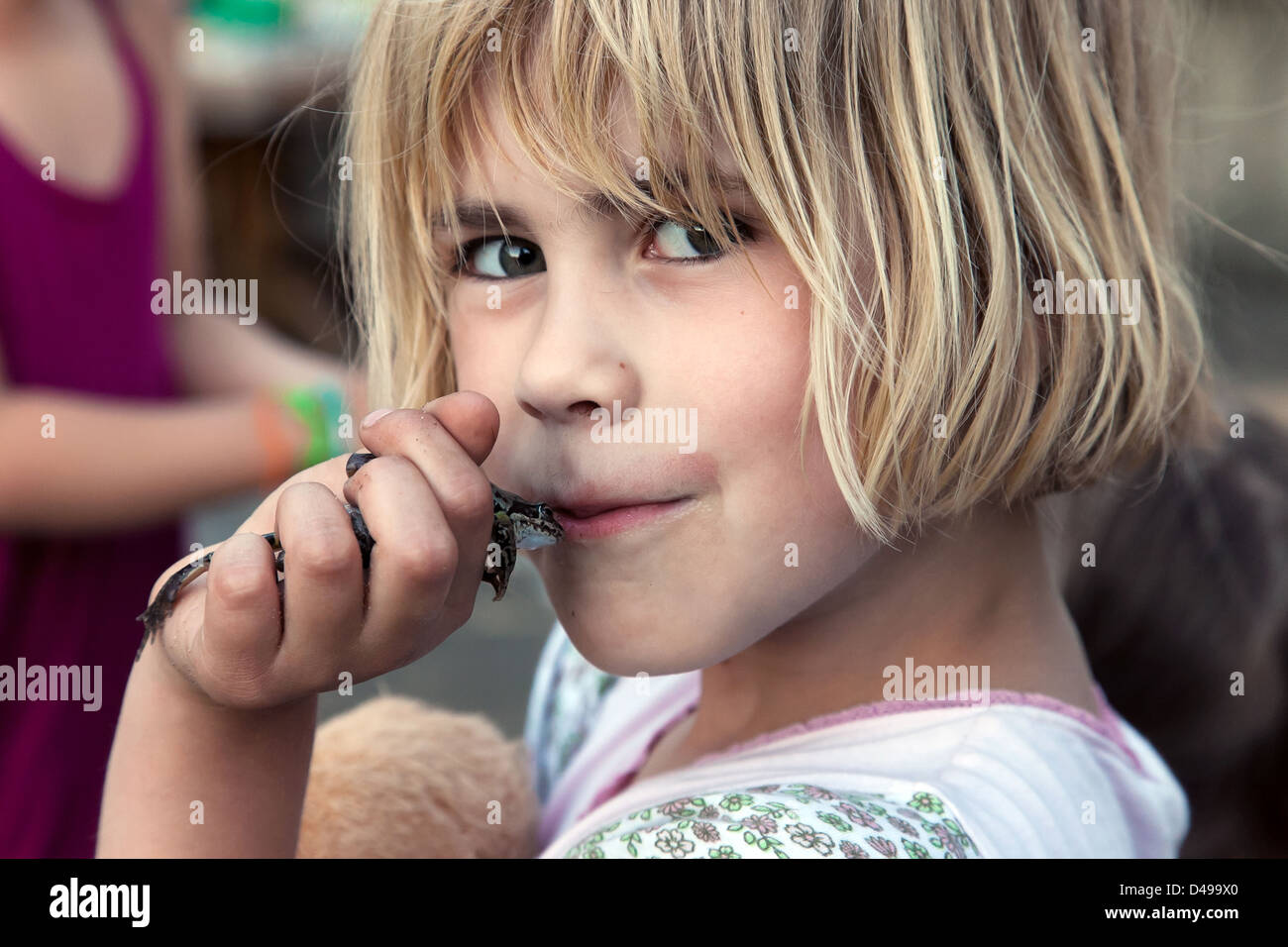 Rühstädt, Deutschland, küsst eine Mädchen einen Frosch Stockfoto