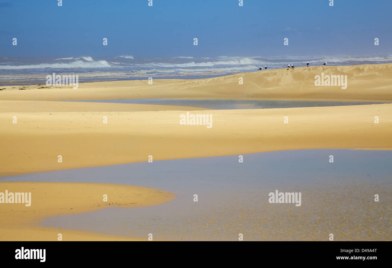 Der Strand in der Nähe Bushman River Mündung, in einem Gebiet, bekannt als der Sunshine Coast in Südafrika. Stockfoto