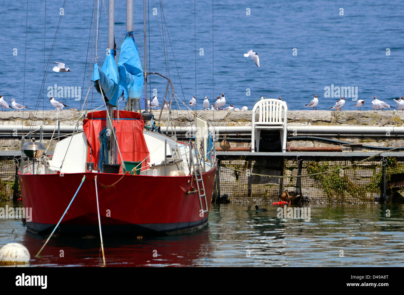 Rotes Boot in den Hafen von Evian mit vielen Möwen auf dem Deich. Evian