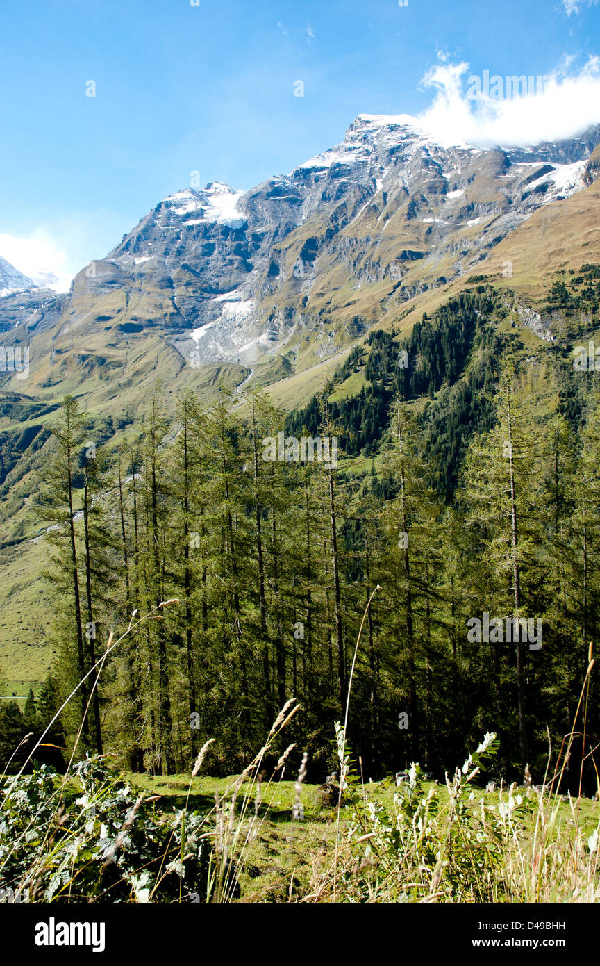 Berg in Österreich Stockfoto