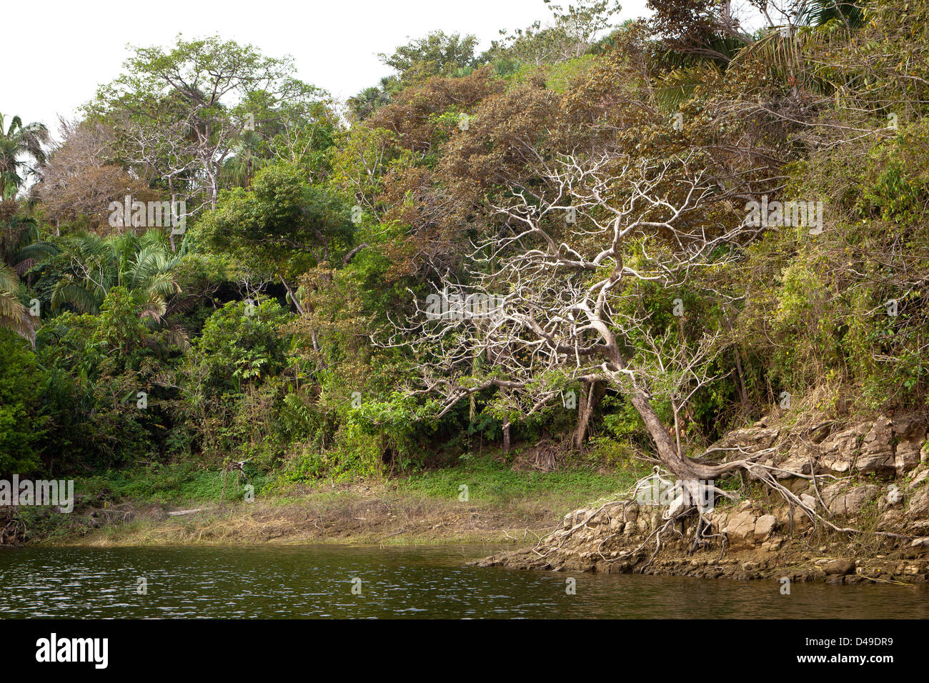 Landschaften auf Lago Bayano (See), Provinz Panama, Republik von Panama. Stockfoto