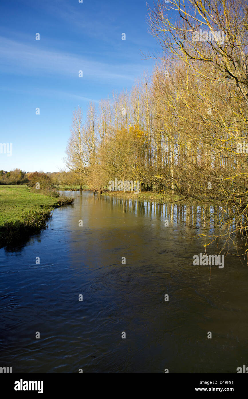 Fluss Cherwell unteren Heyford Oxfordshire England UK Cherwell Valley Weiden und Wiesen Landschaft Szene malerische Landschaft Stockfoto