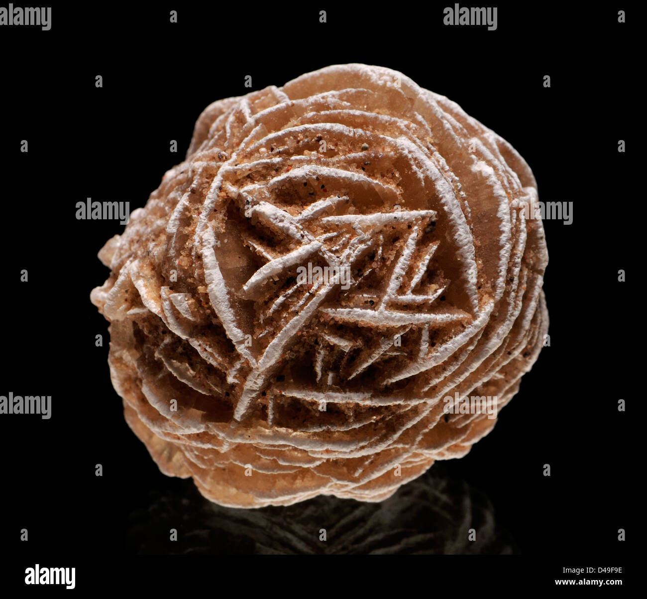 Baryte "Desert Rose" Stockfoto