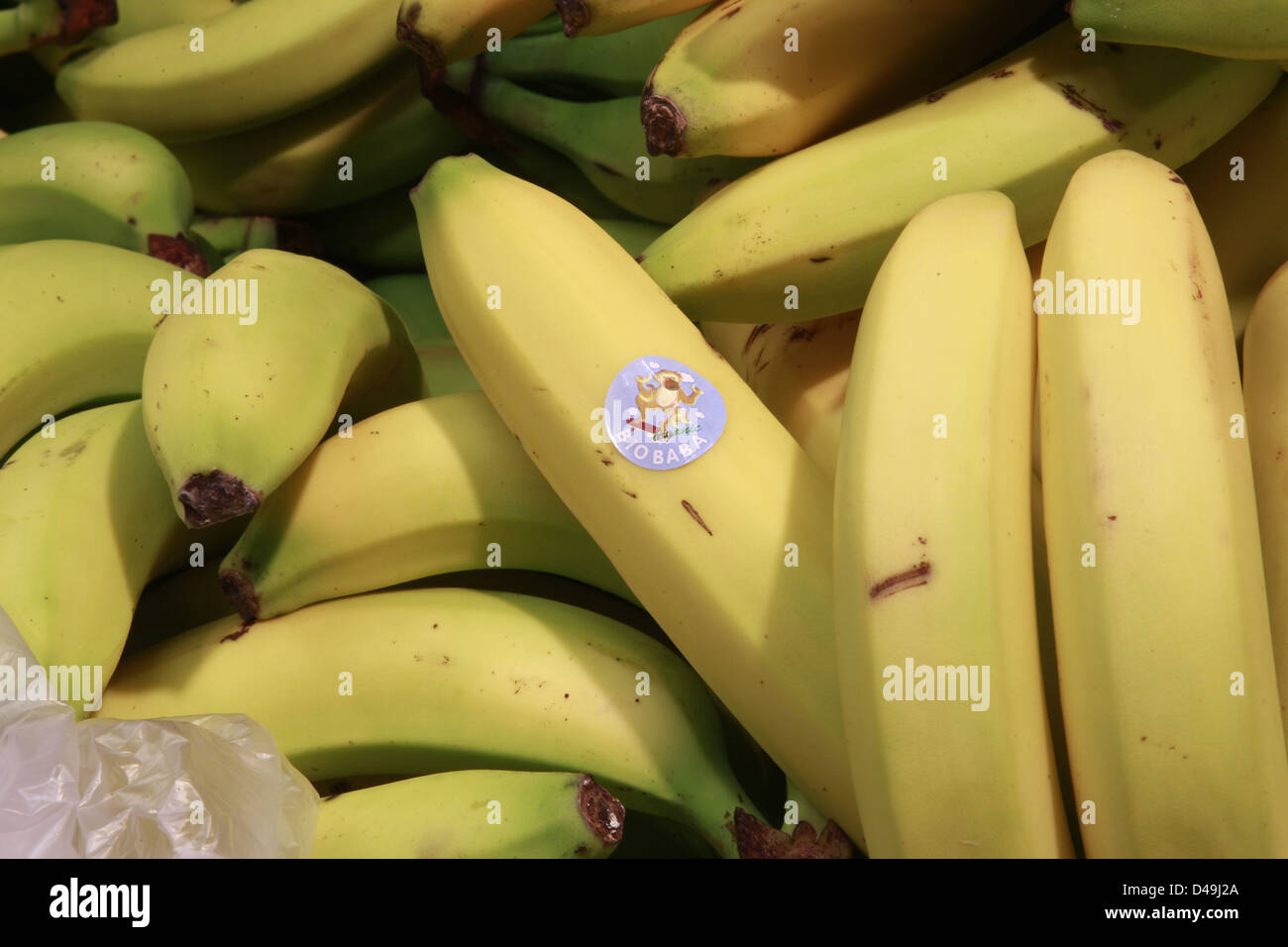 Berlin, Deutschland, Bananen an einem Seitenarm des LPG BGF Stockfoto