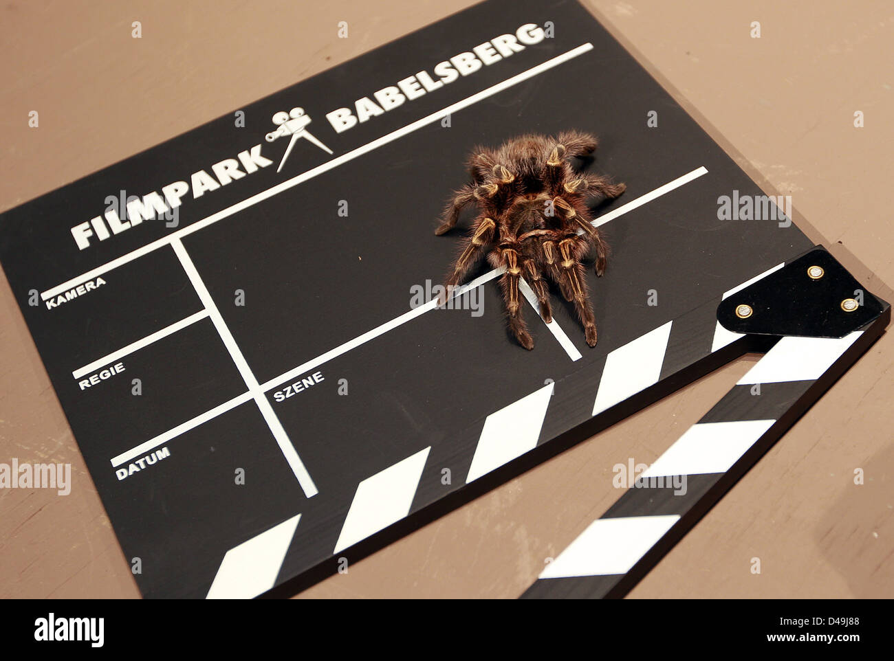 Potsdam, Deutschland, Pressekonferenz zum Saisonstart in Babelsberg Film Park Stockfoto