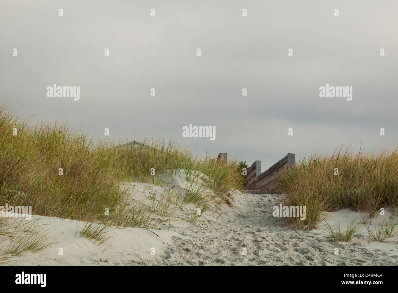 Myrtle Beach ist eine Stadt an der Ostküste der Vereinigten Staaten in