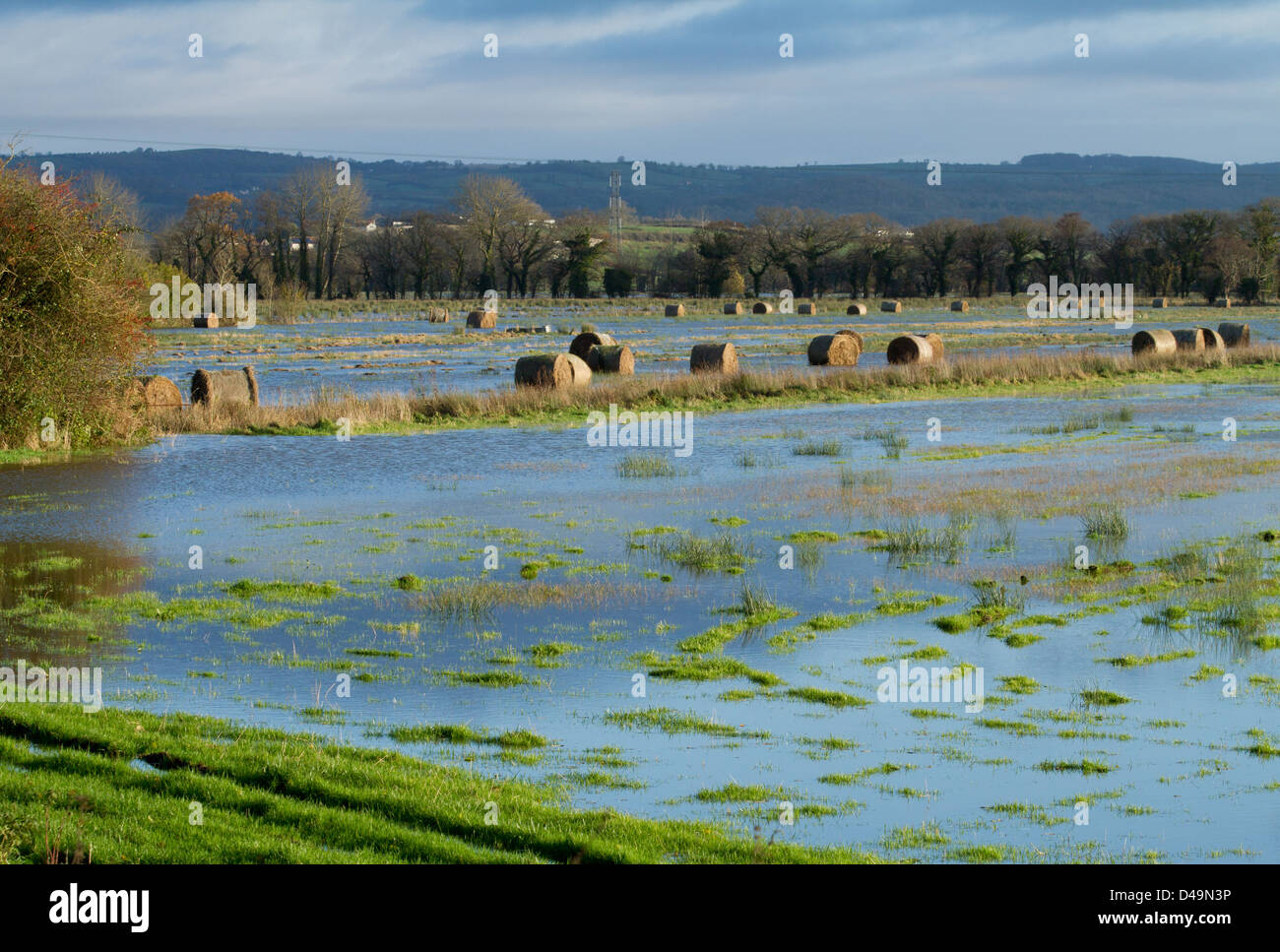 Heuballen in überschwemmten Feldern in der Nähe von Glastonbury, Somerset Stockfoto