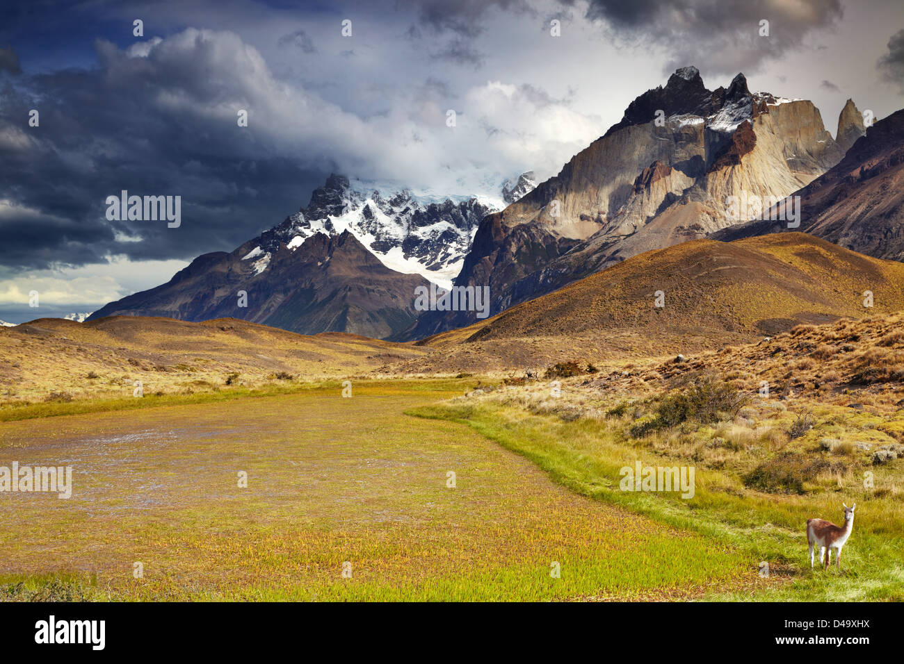 Torres del Paine Nationalpark, Patagonien, Chile Stockfoto