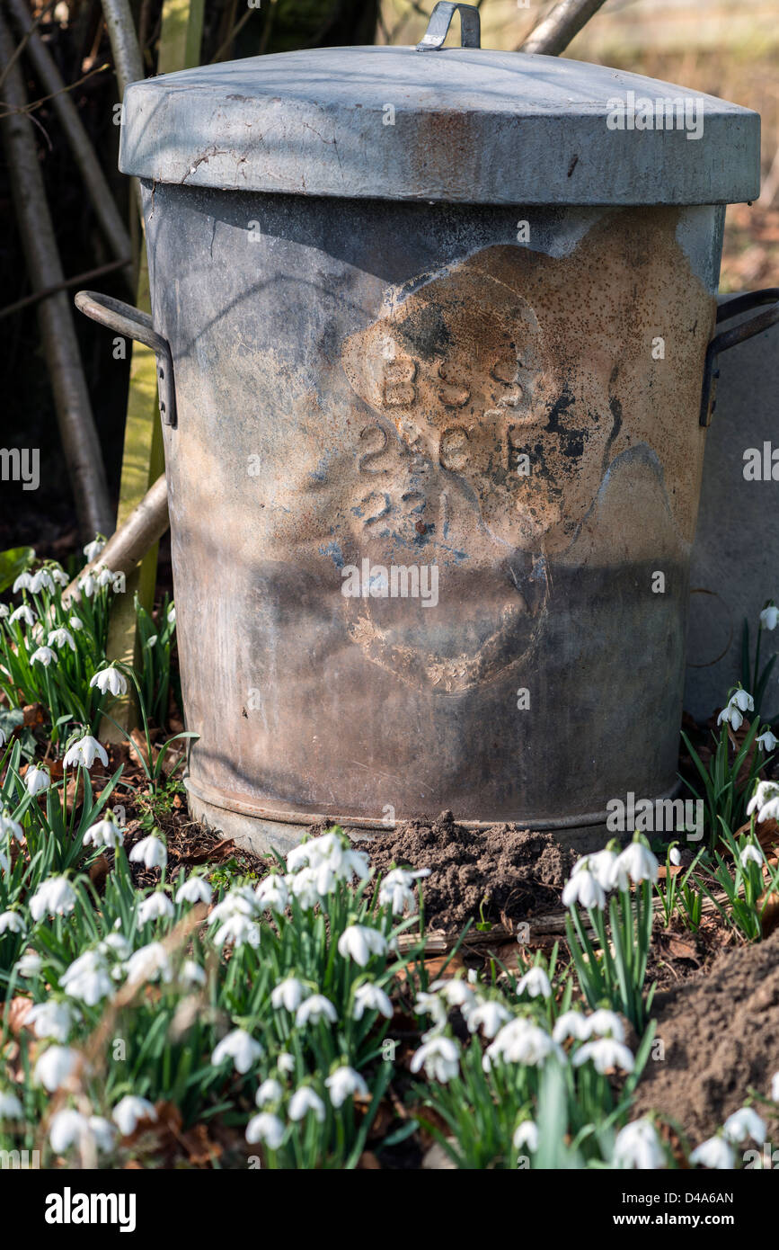Alte Garten bin mit Schneeglöckchen Stockfoto