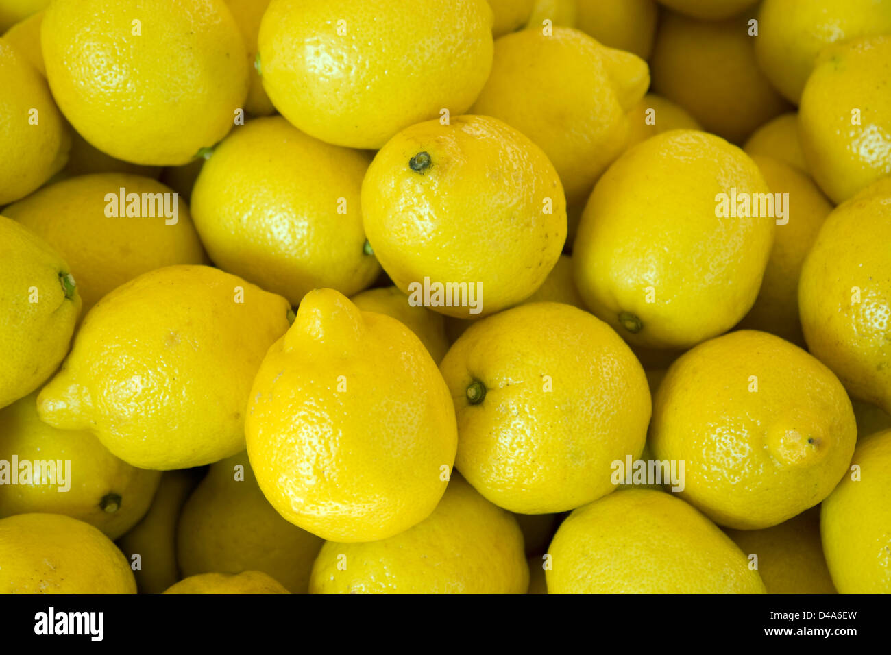 Full-Frame-Hintergrund mit vielen frischen gelben citrons Stockfoto
