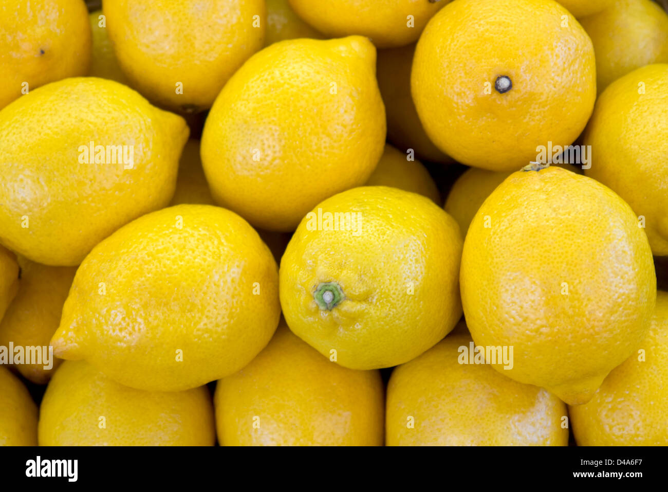 Full-Frame-Hintergrund mit vielen frischen gelben citrons Stockfoto