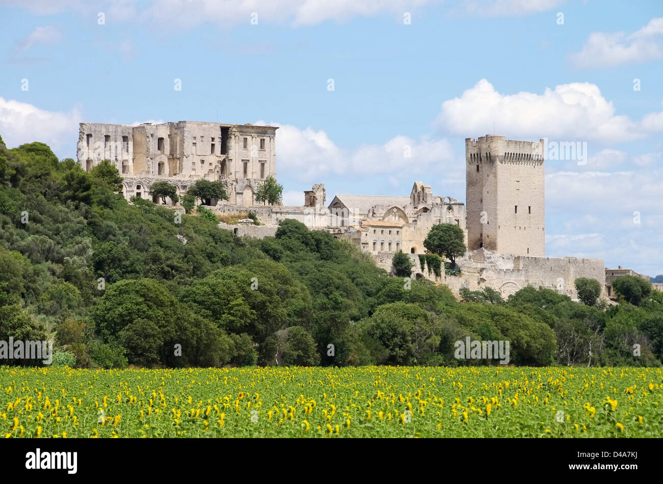 Abbaye de Montmajour 11 Stockfoto