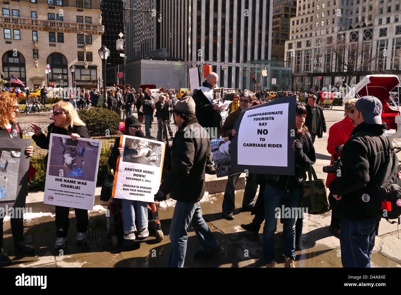 New York City, USA. 9. März 2013. Demonstranten fordern Verbot von Central Park Horse-drawn Wagen 9. März 2013 in New York City. (Foto von Donald Bowers/Alamy Live-Nachrichten) Stockfoto