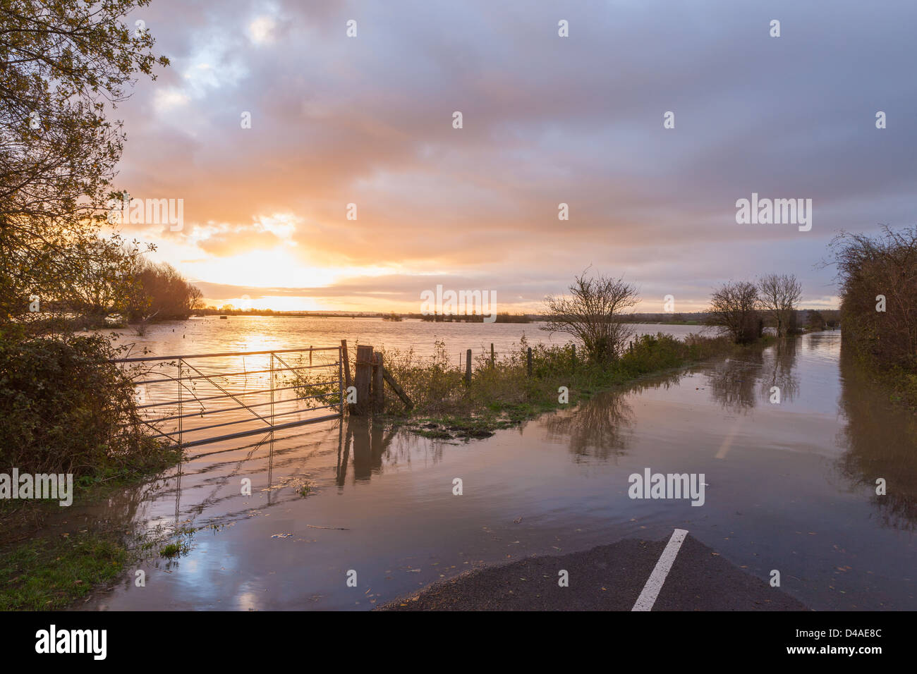 Morgendämmerung über der überfluteten Glastonbury Street Road nach dem Fluss Brue seine Banken platzen Stockfoto