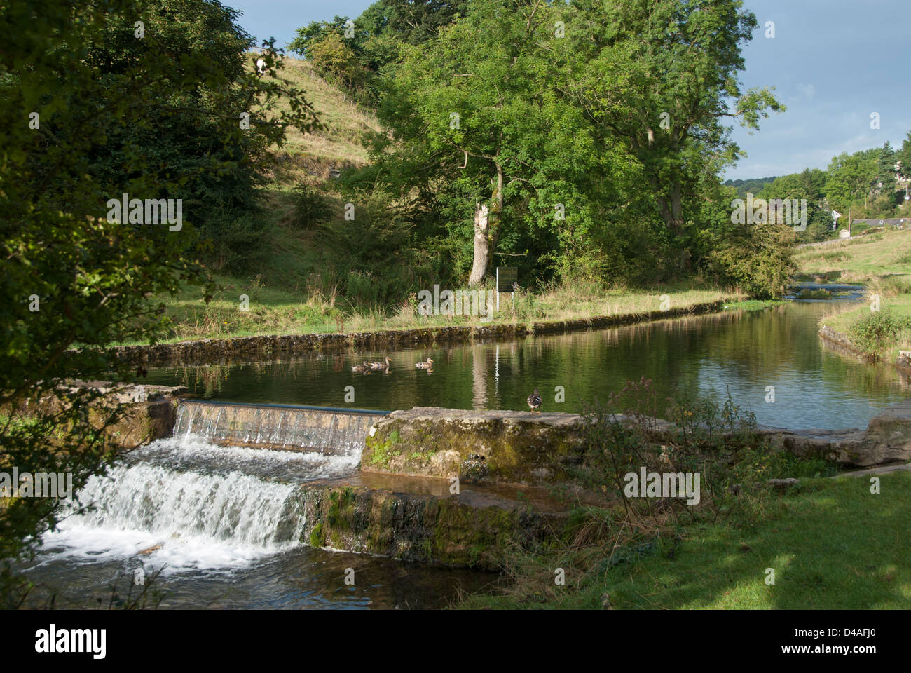 Landschaft Fluss Lathkill mit einem Damm im Peak District, Derbyshire England Großbritannien Stockfoto