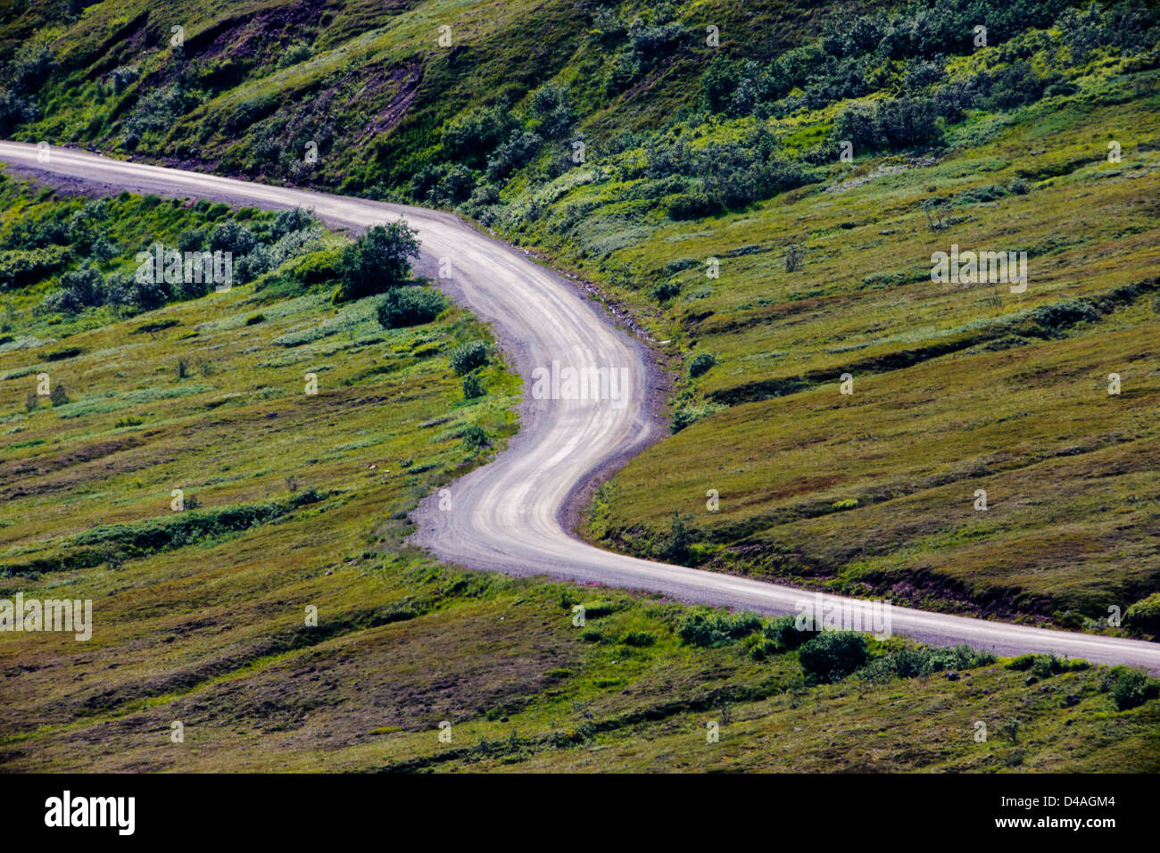 Shuttle-Busse Besucher auf den begrenzten Zugang Denali Park Road, Denali National Park & zu bewahren, Alaska, USA Stockfoto