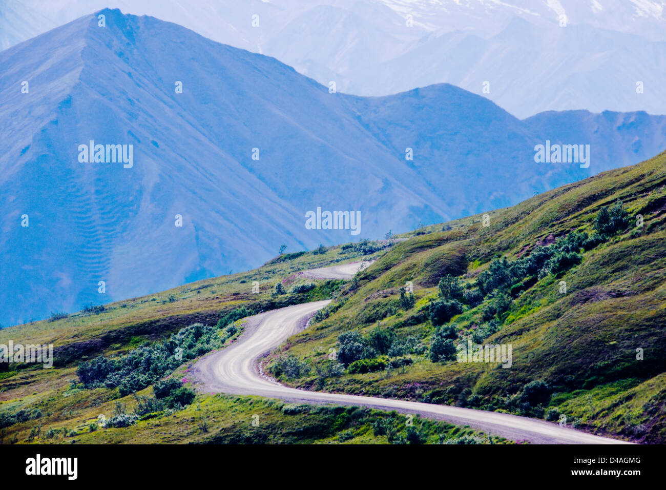 Shuttle-Busse Besucher auf den begrenzten Zugang Denali Park Road, Denali National Park & zu bewahren, Alaska, USA Stockfoto