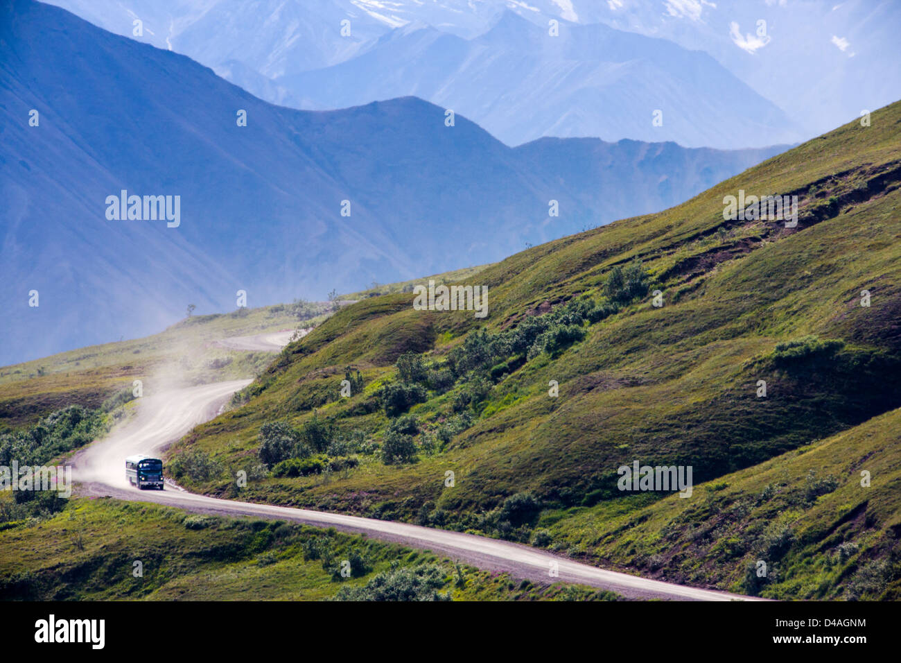 Shuttle-Busse Besucher auf den begrenzten Zugang Denali Park Road, Denali National Park & zu bewahren, Alaska, USA Stockfoto