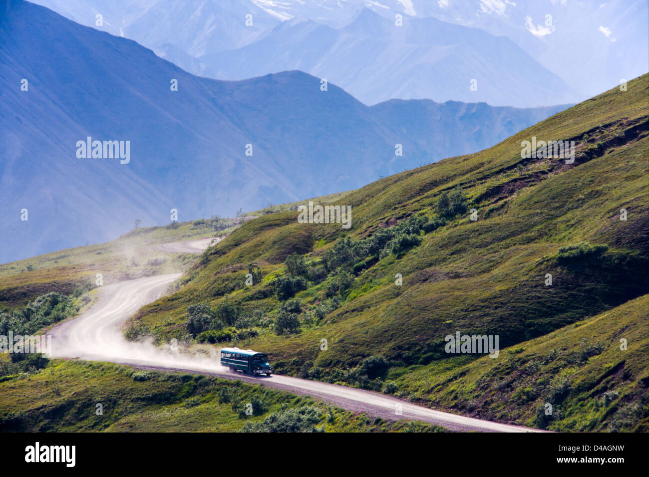 Shuttle-Busse Besucher auf den begrenzten Zugang Denali Park Road, Denali National Park & zu bewahren, Alaska, USA Stockfoto