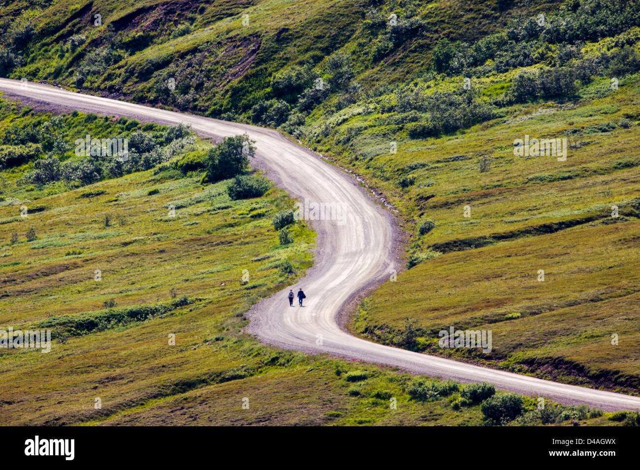 Zwei Besucher wandern Sie auf einem abgelegenen Abschnitt des Denali Park Road, Denali National Park & zu bewahren, Alaska, USA Stockfoto