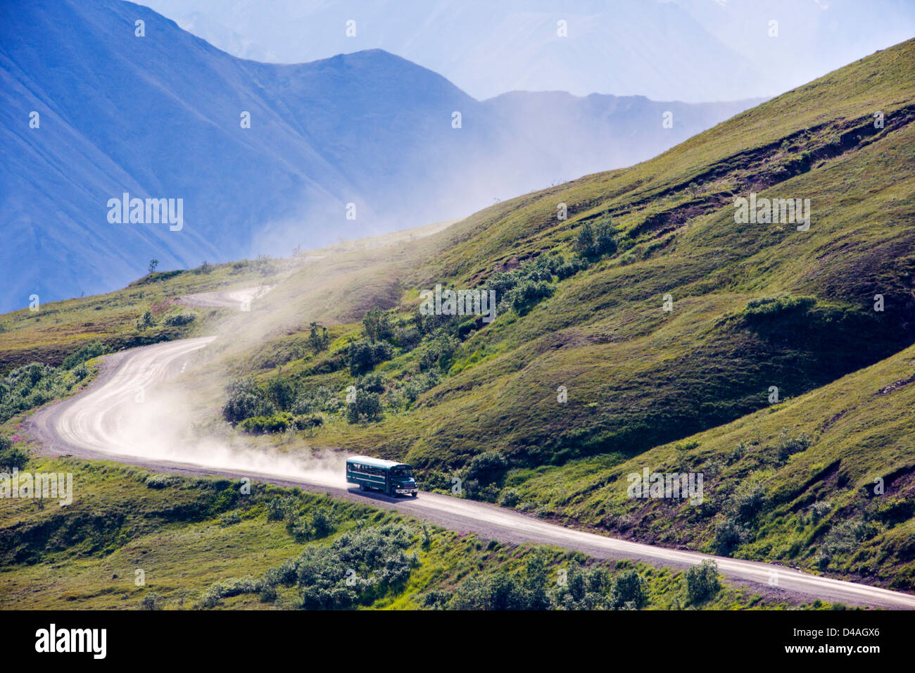 Shuttle-Busse Besucher auf den begrenzten Zugang Denali Park Road, Denali National Park & zu bewahren, Alaska, USA Stockfoto